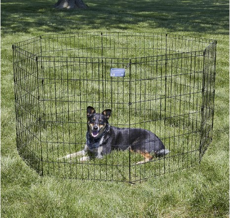 Puppy Dog Pen