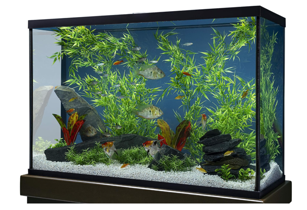 Aquarium Decorations