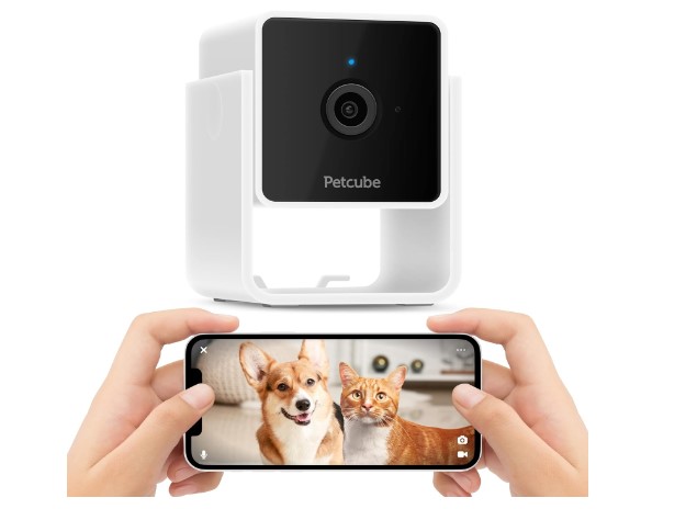 best pet camera for dogs