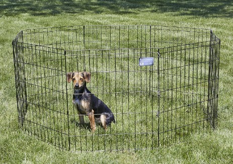 Puppy Dog Pen