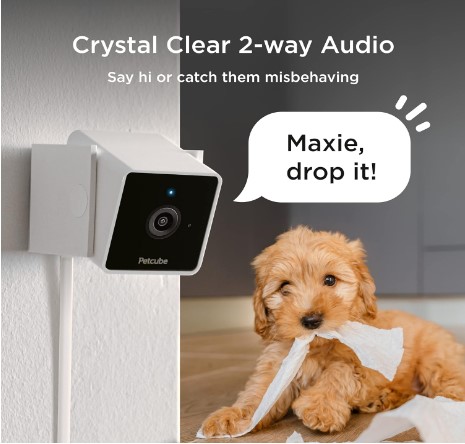 best pet camera for dogs