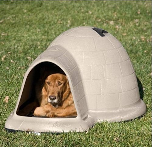 Outdoor Dog House