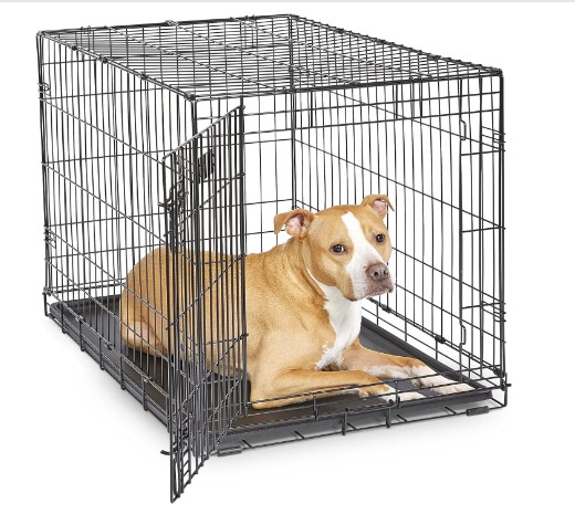 travel dog crate