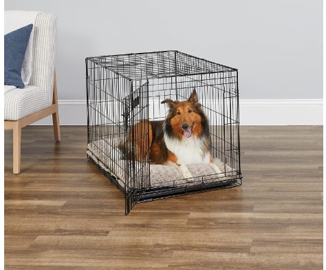 travel dog crate