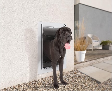 best dog door