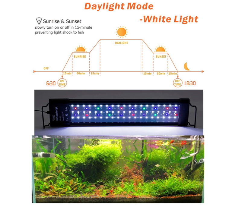 Aquarium Hood Light