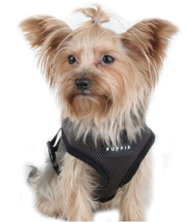 Step In Dog Harness