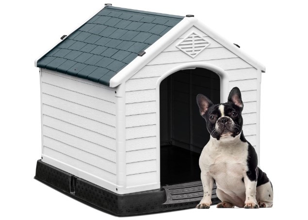 Outdoor Dog House