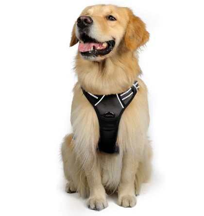 Step In Dog Harness