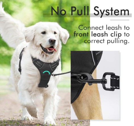 Step In Dog Harness