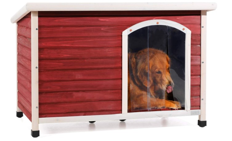 Outdoor Dog House