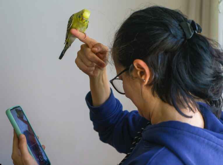 Pet Bird Care Guide