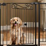 tall dog gates