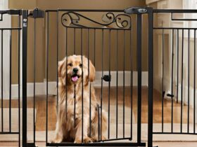 tall dog gates