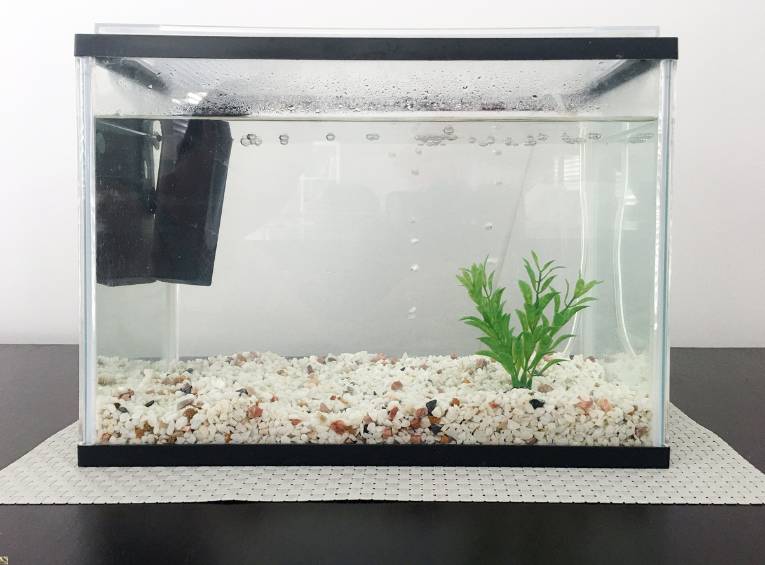 Aquarium Setup Guide