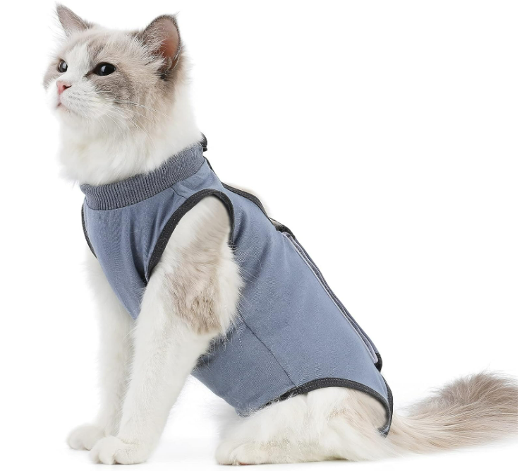 Cute Cat Apparel