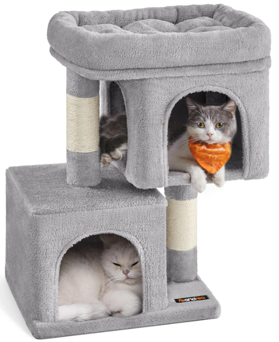 Modern Cat Furniture