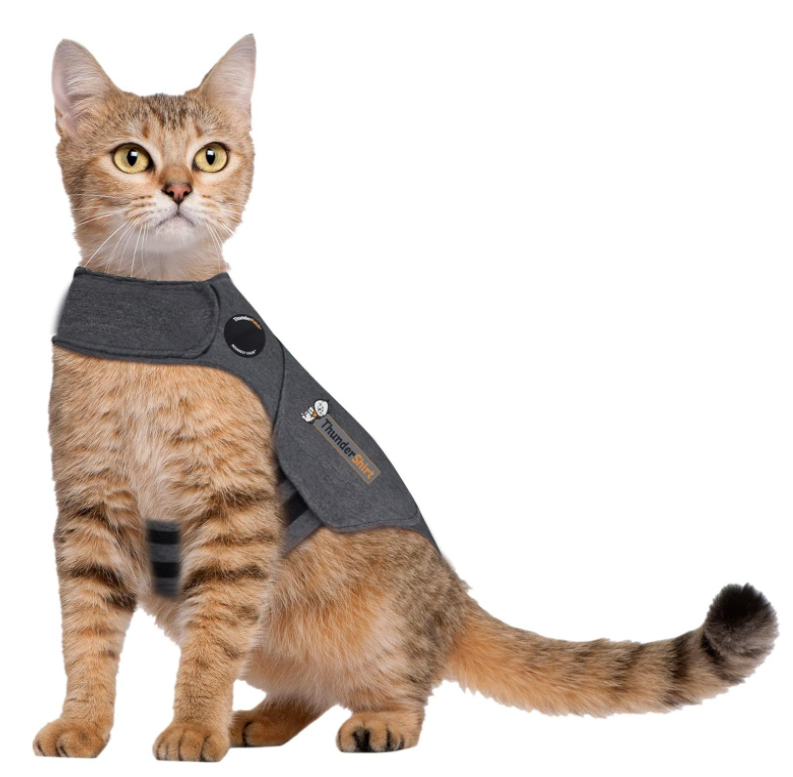 Cute Cat apparel