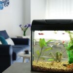 Aquarium Equipment