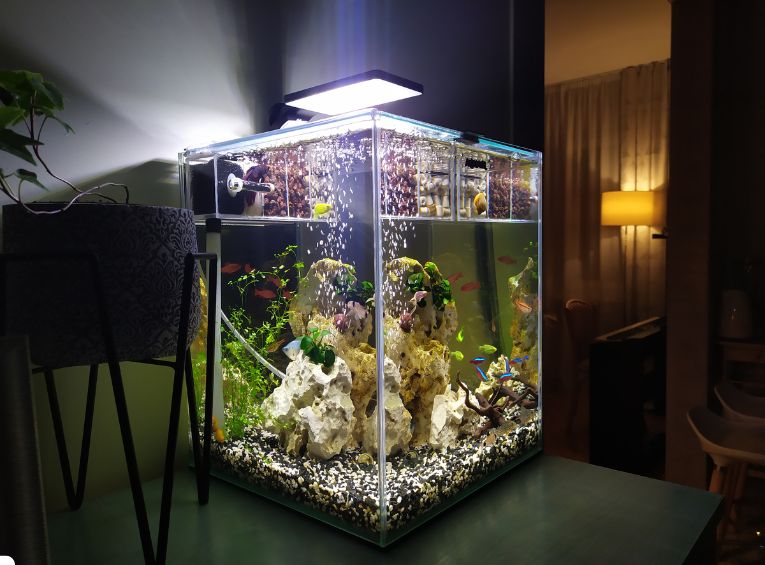 Aquarium Equipment