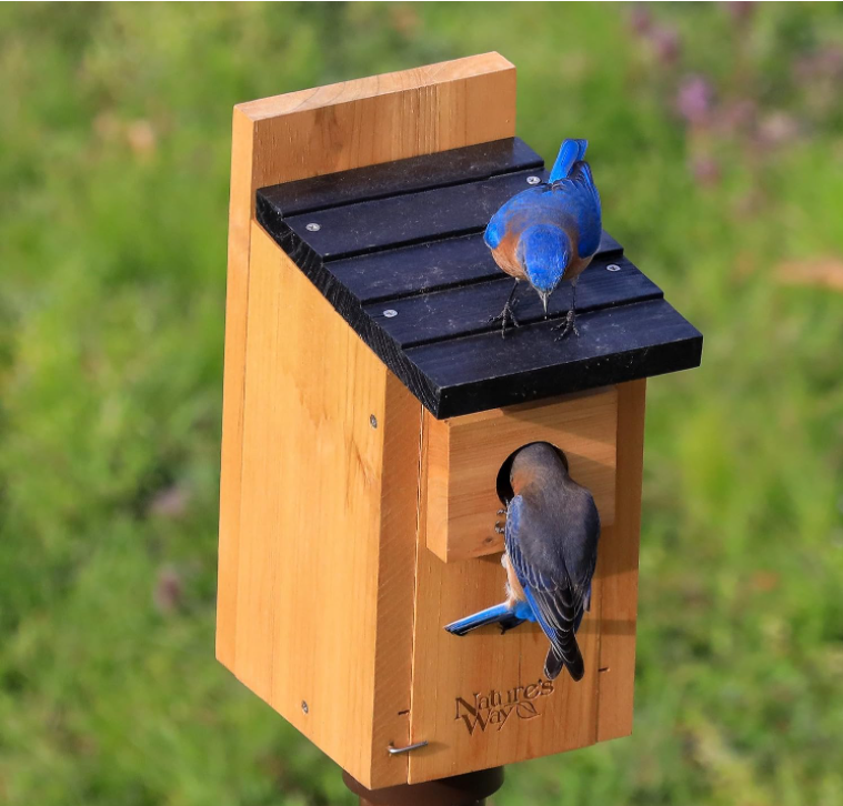 Wooden Bird House