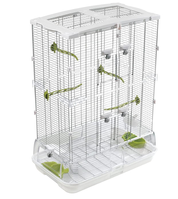 Birds Cage