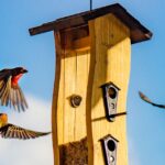 Wooden Bird House